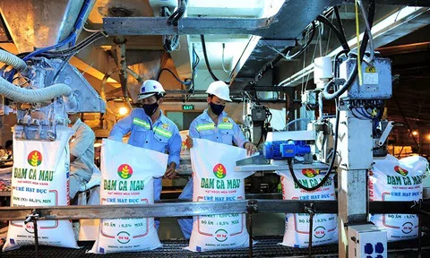 Quý 1/2023: Áp lực tăng trưởng âm nhìn từ các doanh nghiệp phân bón