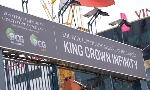 BCG Land bị cưỡng chế dừng thủ tục hải quan do nợ thuế
