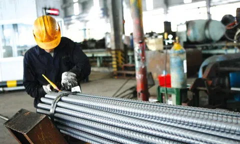 Lãnh đạo một công ty thép top đầu lên tiếng về việc “quên” nộp báo cáo tài chính hơn 30 ngày