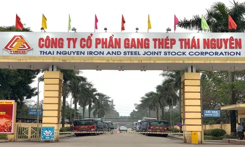 TIS ngập trong thua lỗ