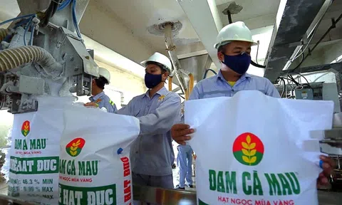 Giá vốn tăng cao “ăn mòn” lợi nhuận của DCM