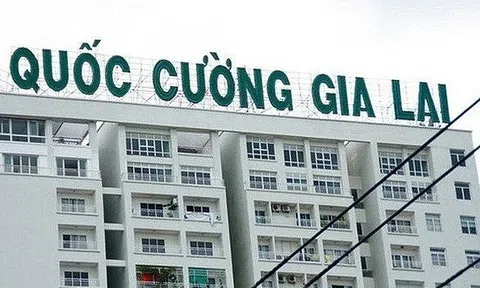 Quốc Cường Gia Lai bị truy thu hơn nửa tỷ đồng tiền thuế