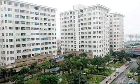 Cách xem thông tin các dự án nhà ở xã hội?