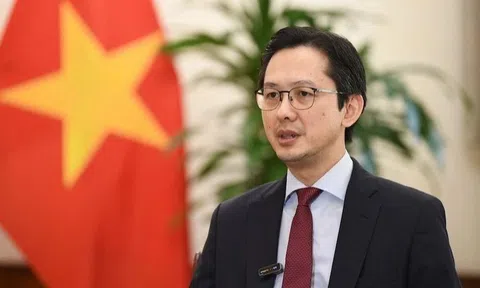 Các nước coi trọng vị thế, vai trò và tiếng nói tích cực của Việt Nam trong hợp tác quốc tế