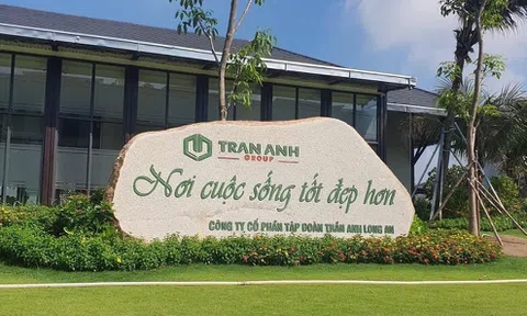 “Ông lớn” bất động sản Long An bị ngừng sử dụng hoá đơn 1 năm