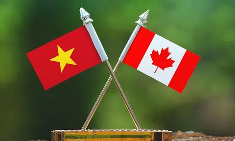 Việt Nam là đối tác thương mại lớn nhất của Canada trong ASEAN