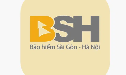 Bảo hiểm BSH cùng lúc nhận 6 lá đơn xin từ nhiệm vị trí thành viên HĐQT