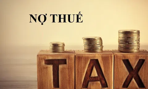 Hải Phòng: Công khai danh sách 81 doanh nghiệp nợ thuế đến thời điểm 31/5/2024
