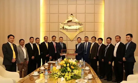 Xử phạt vi phạm hành chính trong lĩnh vực chứng khoán và thị trường chứng khoán đối với Công ty cổ phần Tập đoàn Bất động sản Mặt trời