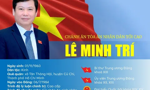 INFOGRAPHICS: Tóm tắt tiểu sử Chánh án Toà án nhân dân Tối cao Lê Minh Trí