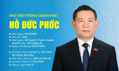 INFOGRAPHICS: Tiểu sử Tân Phó Thủ tướng Chính phủ Hồ Đức Phớc