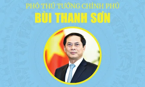 INFOGRAPHICS: Tóm tắt tiểu sử Tân Phó Thủ tướng Chính phủ Bùi Thanh Sơn