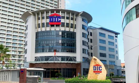 Cổ phiếu DIG bị bán tháo sau kết luận Thanh tra