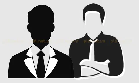 CEO và Chủ tịch của doanh nghiệp đại chúng có thu nhập bình quân ra sao?