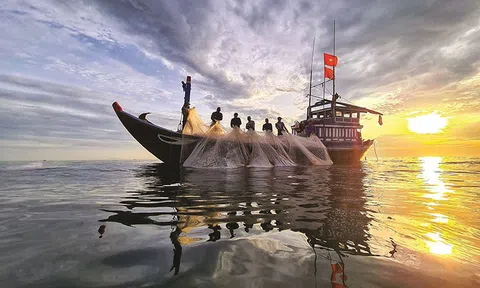 Nghiên cứu chính sách bảo vệ quyền lợi ngư dân Việt Nam trong tranh chấp chủ quyền Biển Đông