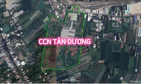 Công khai 6 công ty vi phạm luật đất đai tại Đồng Tháp