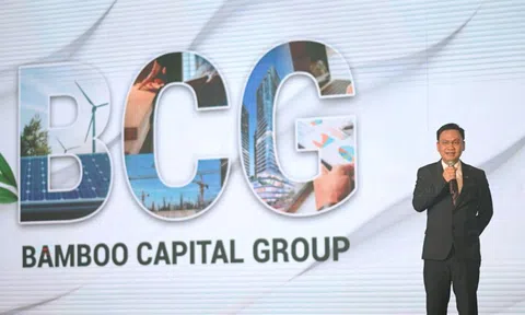 Biến động ở Bamboo Capital: Chủ tịch liên tục rời ghế, trái phiếu bị ngừng giao dịch
