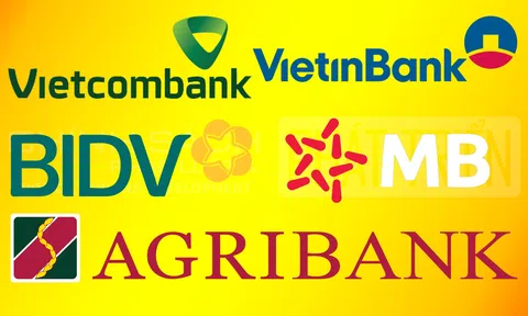 5 ngân hàng có vốn Nhà nước chiếm gần 50% dư nợ nền kinh tế