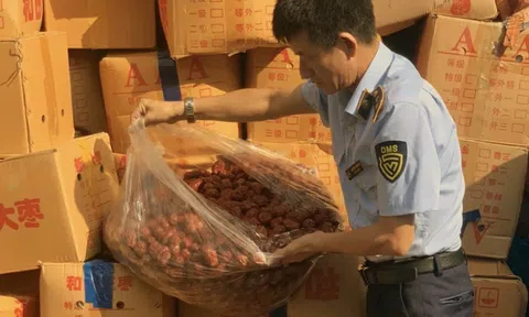 Phát hiện hơn 4 tấn táo đỏ nhập lậu
