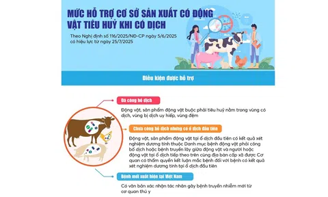 Mức hỗ trợ cơ sở sản xuất có động vật tiêu huỷ khi có dịch