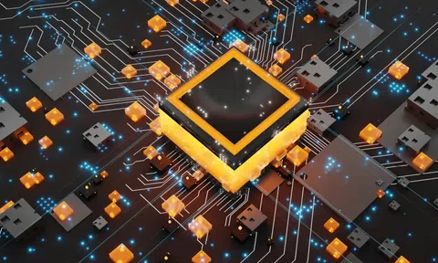 Thực tiễn pháp lý quốc tế và một số khuyến nghị cho Việt Nam