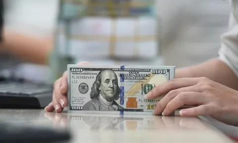 NHNN phối hợp liên ngành để ổn định thị trường ngoại hối