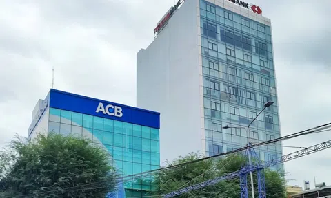 Nhiều hạn chế trong hoạt động cấp tín dụng tại chi nhánh một ngân hàng ở Cần Thơ