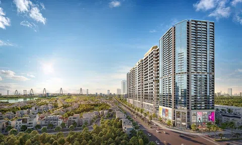 Sunshine Sky Villa nhận chuyển nhượng cổ phần, sở hữu 99% Bất động sản Wonderland