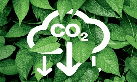 Quy định về sàn giao dịch các-bon trong nước