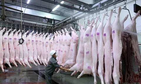 Bước ngoặt minh bạch hóa thị trường 25.000 tỷ đồng