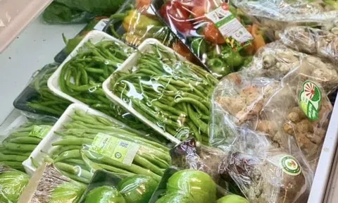 Cơ hội 10 tỷ USD rau quả xuất khẩu và yêu cầu nâng chuẩn chất lượng, bao bì