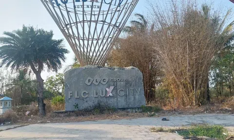 Rà soát toàn bộ hồ sơ thủ tục, pháp lý của dự án Khu đô thị chức năng FLC Lux City Quy Nhơn