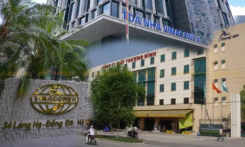 Vinaconex có kế hoạch mua gần 1/4 cổ phần Giầy Thượng Đình, doanh nghiệp sở hữu “đất vàng” làm dự án lớn ở Hà Nội