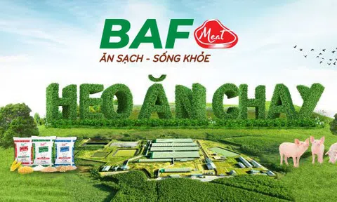 Dòng tiền âm, nợ vay tăng hơn 1.000 tỷ đồng sau một quý: Điều gì đang diễn ra tại BAF Việt Nam?