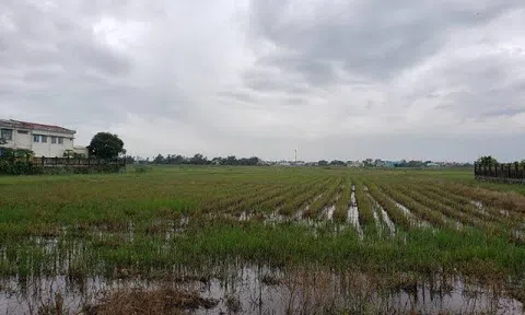 Ba dự án, một chủ đầu tư và những khoảng trống pháp lý được thanh tra làm rõ