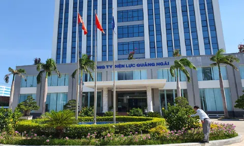 Công ty Điện lực Quảng Ngãi bị chỉ ra tồn tại trong quản lý, cung cấp thông tin trên môi trường mạng