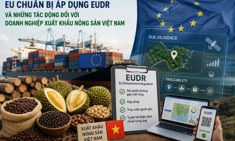 EU chuẩn bị áp dụng EUDR và những tác động đối với doanh nghiệp xuất khẩu nông sản Việt Nam