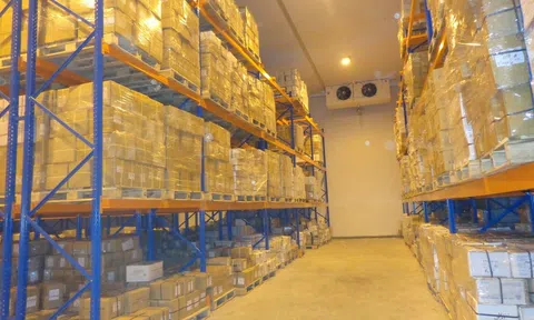 Tiềm năng thị trường kho vận tại Đông Nam Á và Việt Nam
