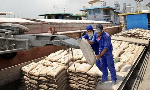 Kênh xuất khẩu xi măng gặp khó vì chính sách “Zero Covid”