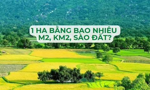 1 hecta bằng bao nhiêu m2, km2, sào đất?
