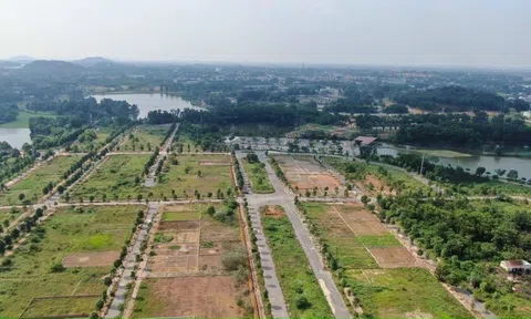Nhà đầu tư đất nền tỉnh giá cao nên chờ, thanh khoản sẽ tới trễ