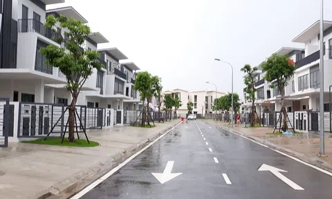 Nhà liền thổ ngày càng đắt đỏ