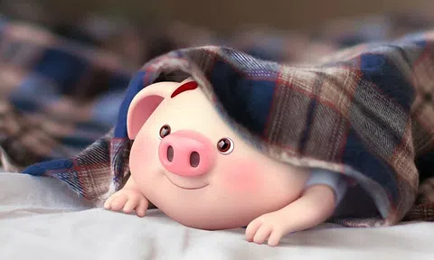Chọn màu sắc nội thất hợp phong thủy cho gia chủ Tuổi Hợi