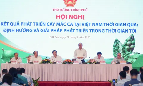 Thủ tướng Nguyễn Xuân Phúc đặt ra loạt vấn đề về trồng và tiêu thụ mắc ca