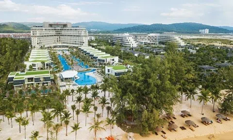 Lỗ hơn 279 tỷ đồng, Sở giao dịch chứng khoán Hà Nội đưa cổ phiếu CEO vào diện cảnh báo