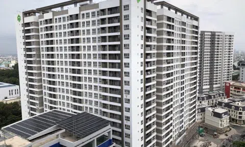 Novanland “ông lớn” trong ngành địa ốc trở thành “chúa chổm”