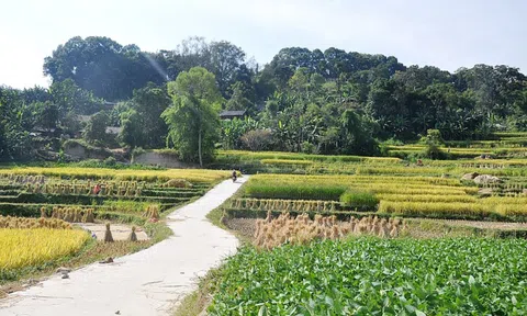 Vốn ngân hàng tiếp tục tới lĩnh vực ưu tiên, "bỏ qua" bất động sản, chứng khoán