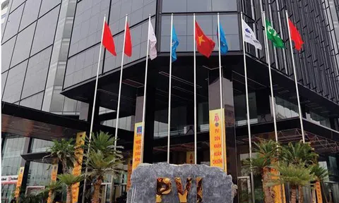 Nhà đầu tư ngoại HDI Global SE che giấu thông tin sở hữu tại PVI, phạt 185 triệu đồng