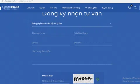 Capital House: Sử dụng website thương mại điện tử bán hàng “chui”