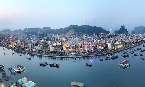 Quảng Ninh: Thu nhận “trái ngọt” từ những nỗ lực tiên phong, đột phá